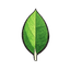 MongoDB icon